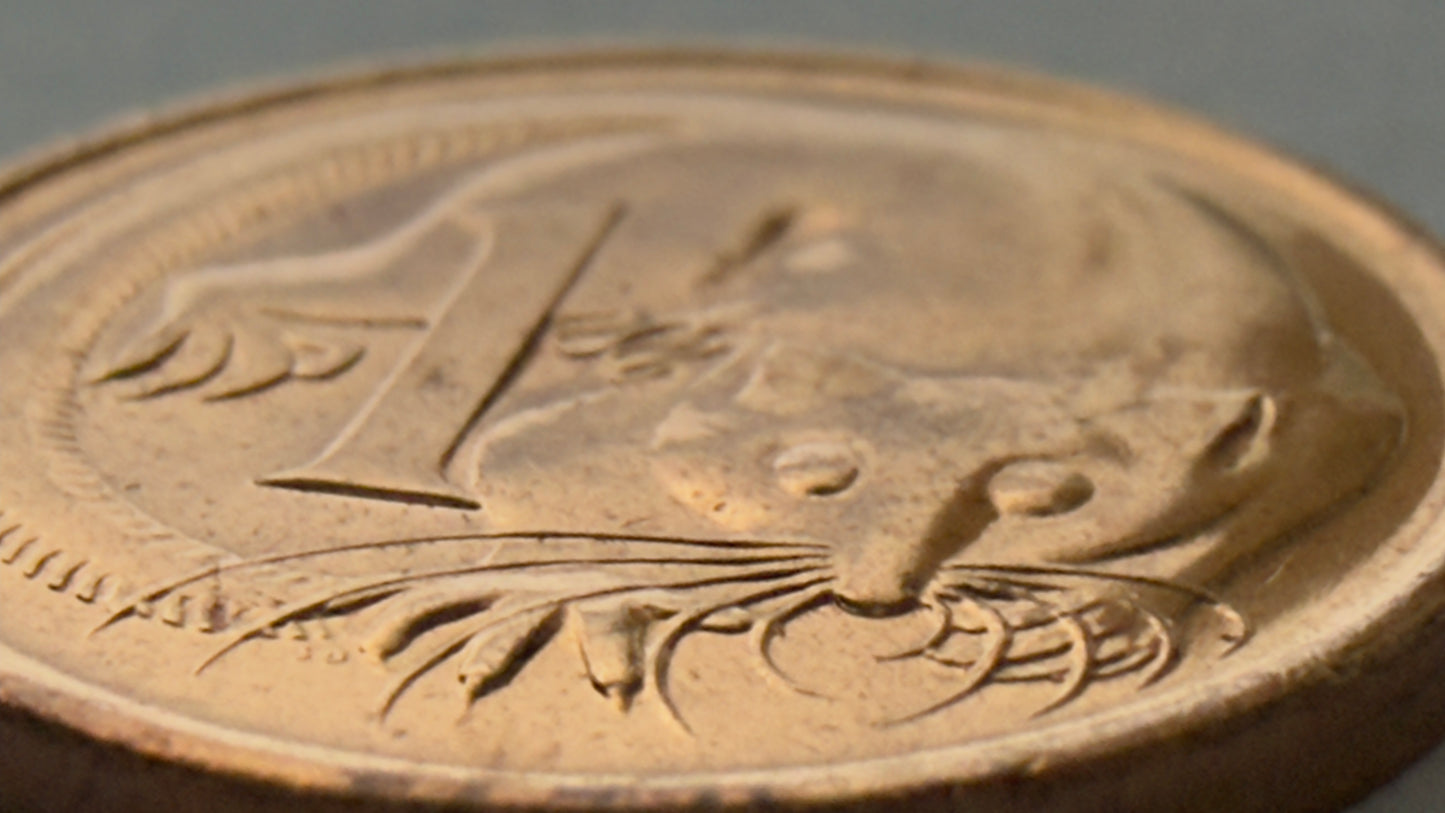 1981 One Cent Coin - Uncirculated - Ex Mint roll - 1 cent - comes in 2x2