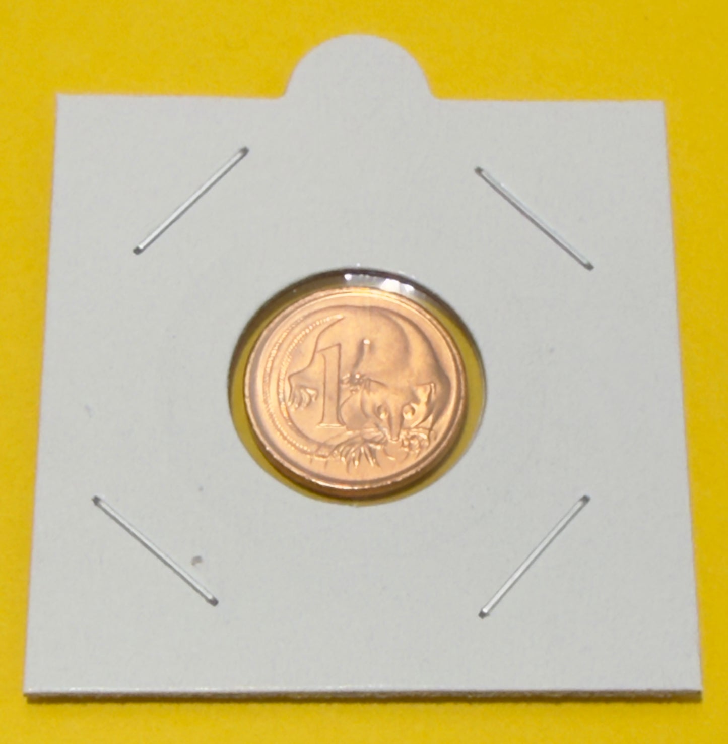 1981 One Cent Coin - Uncirculated - Ex Mint roll - 1 cent - comes in 2x2