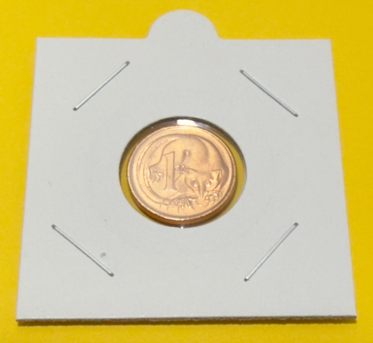 1981 One Cent Coin - Uncirculated - Ex Mint roll - 1 cent - comes in 2x2