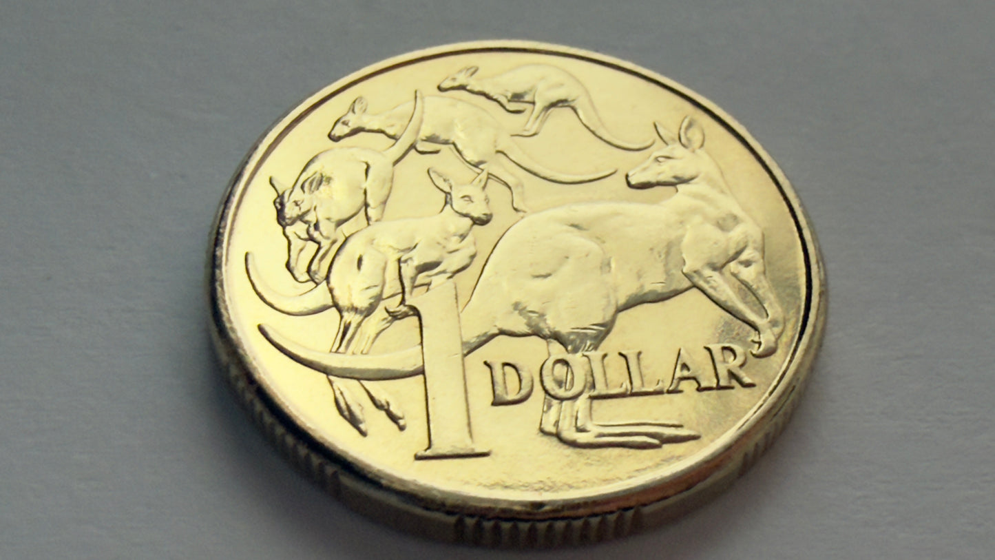 2017 $1 Mob of Roos Coin - Uncirculated - One Dollar - comes in 2x2