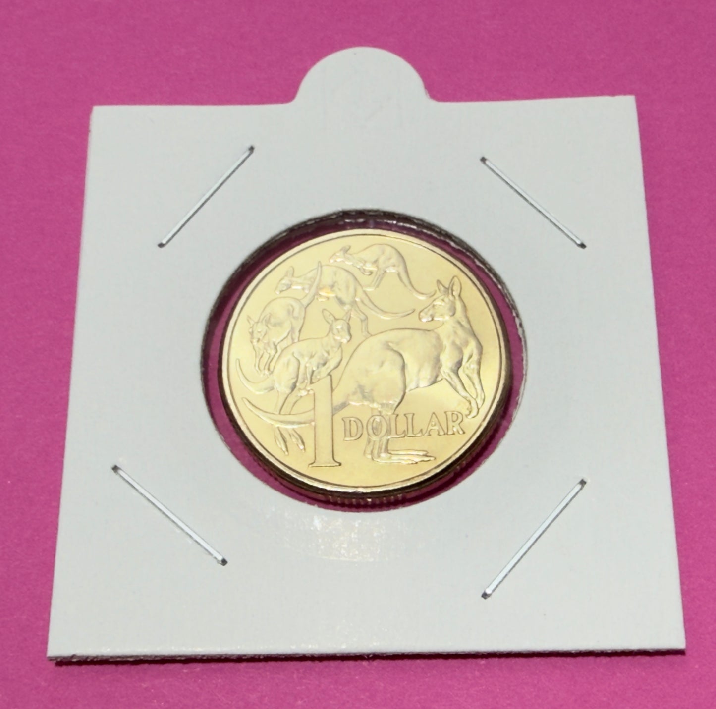2017 $1 Mob of Roos Coin - Uncirculated - One Dollar - comes in 2x2