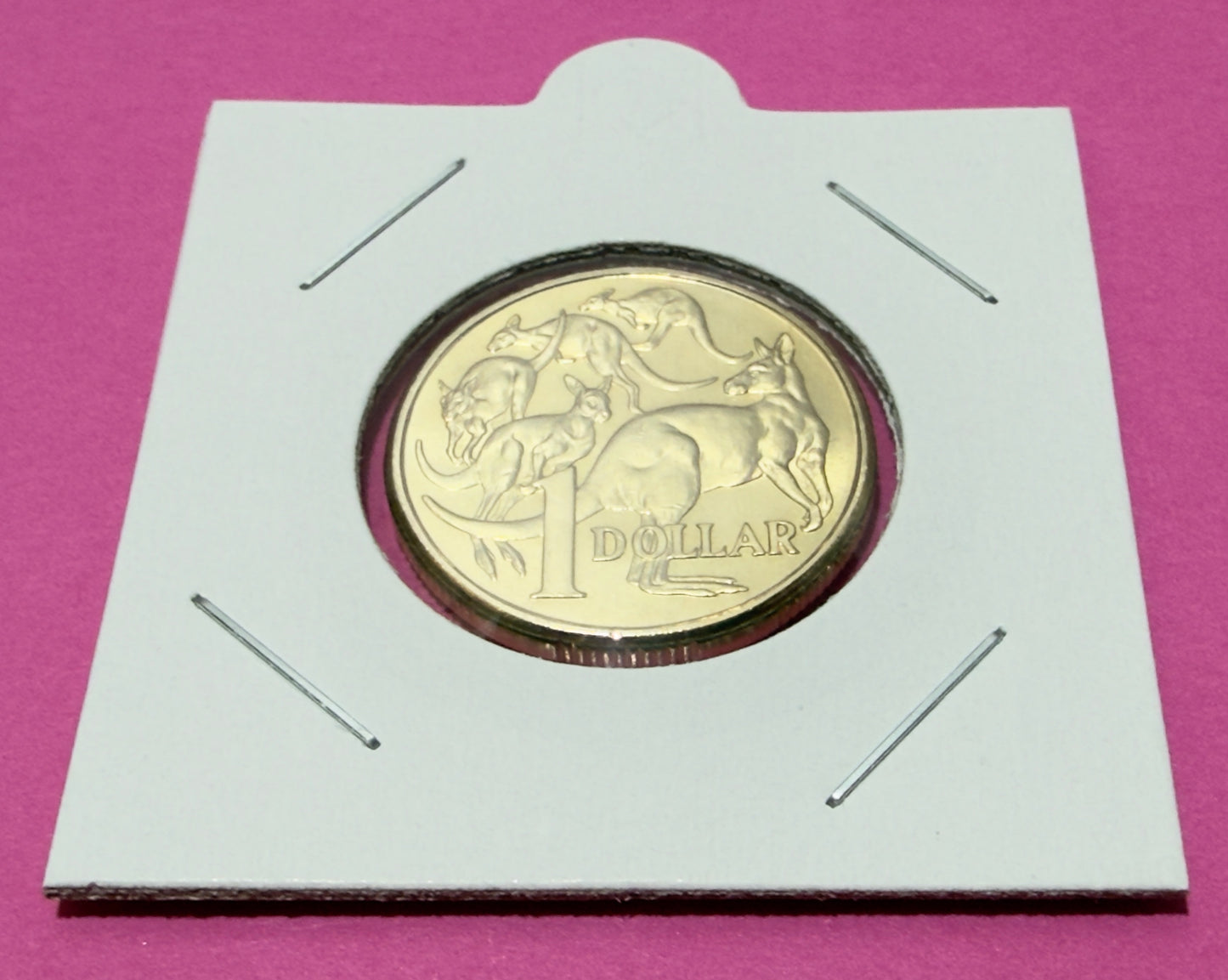2017 $1 Mob of Roos Coin - Uncirculated - One Dollar - comes in 2x2