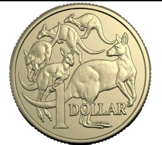 2025 $1 Mob of Roos Coin - Uncirculated - One Dollar - comes in 2x2