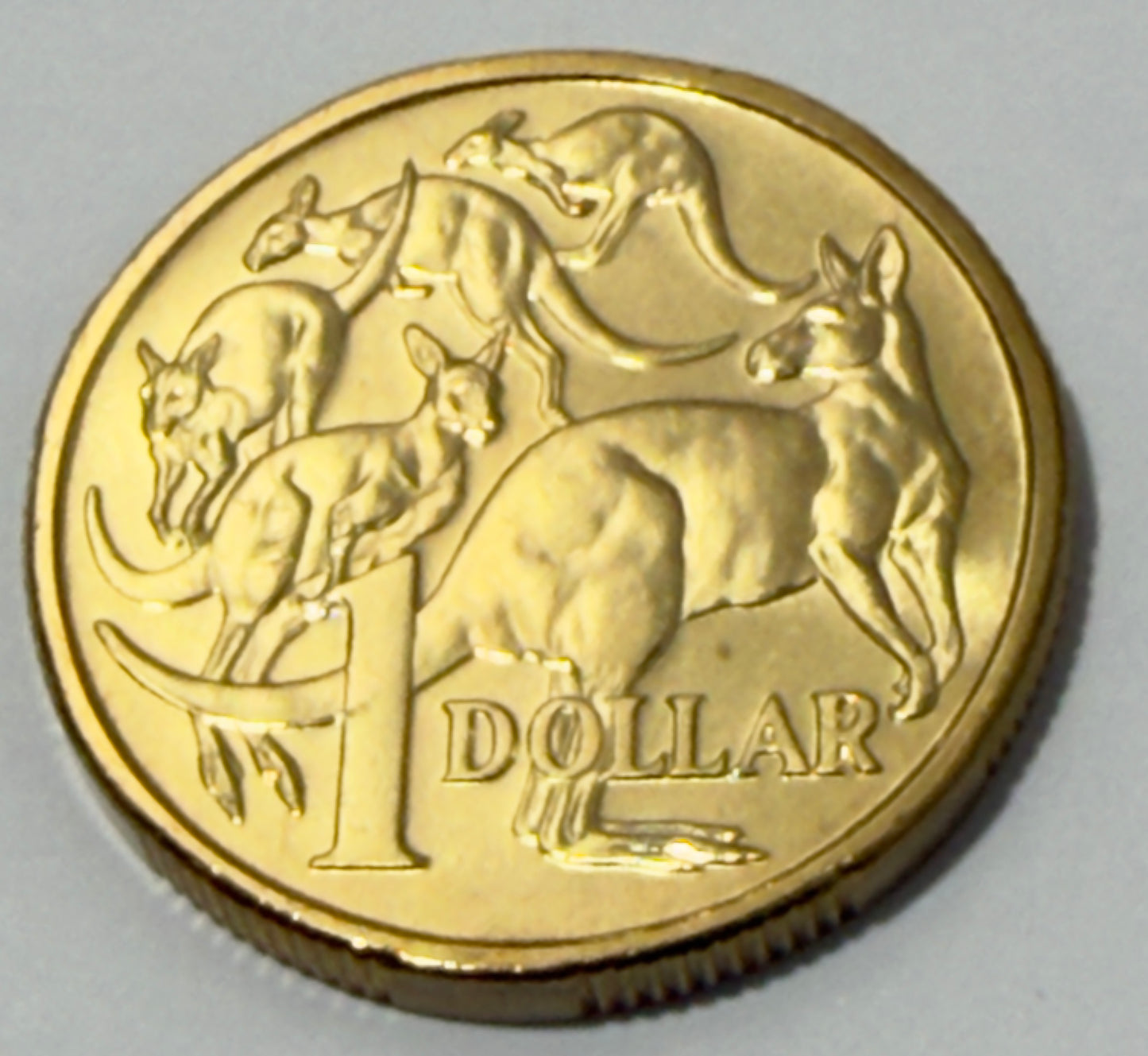 2014 $1 Coin - Uncirculated - Mob of Roos - LOW Mintage - comes in 2x2