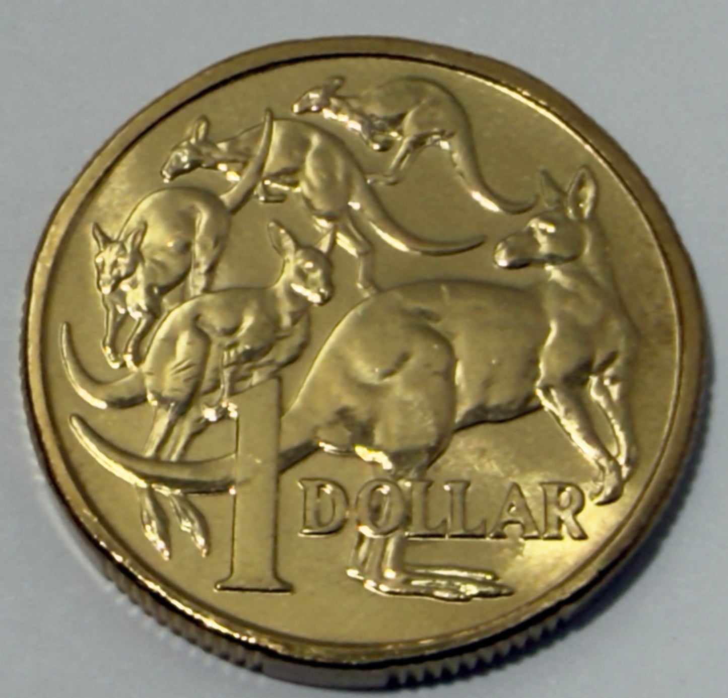 2014 $1 Coin - Uncirculated - Mob of Roos - LOW Mintage - comes in 2x2