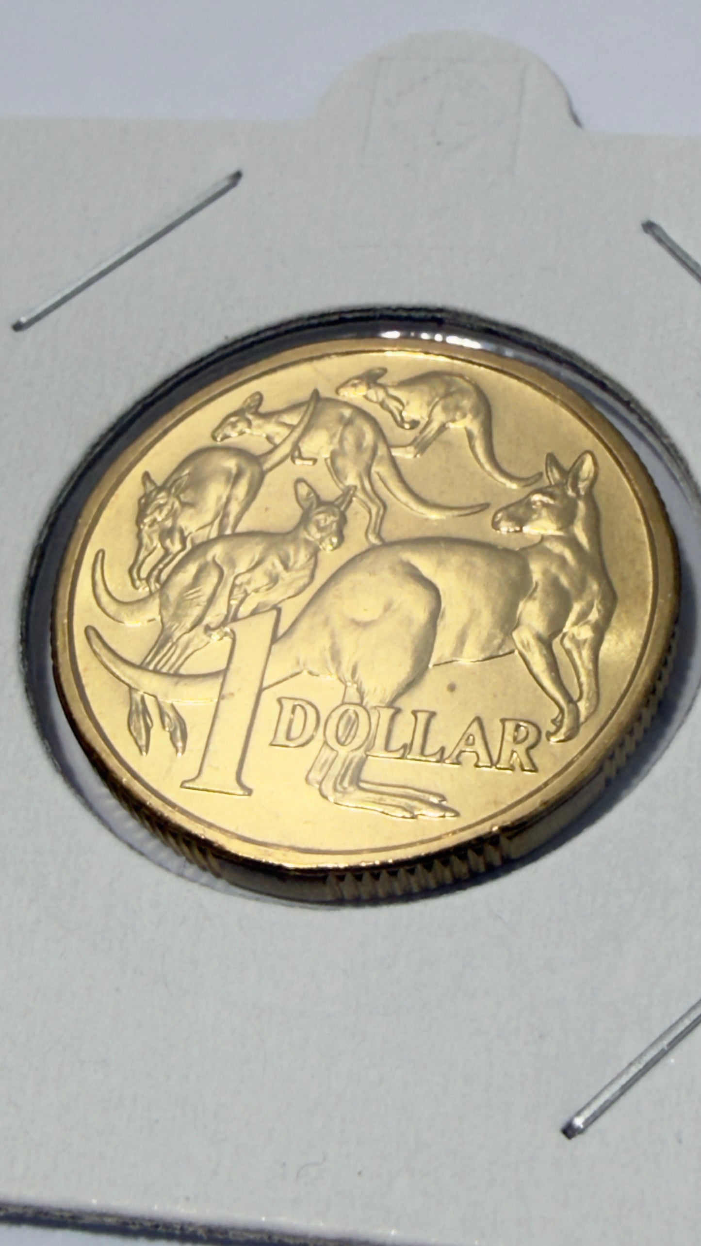 2014 $1 Coin - Uncirculated - Mob of Roos - LOW Mintage - comes in 2x2
