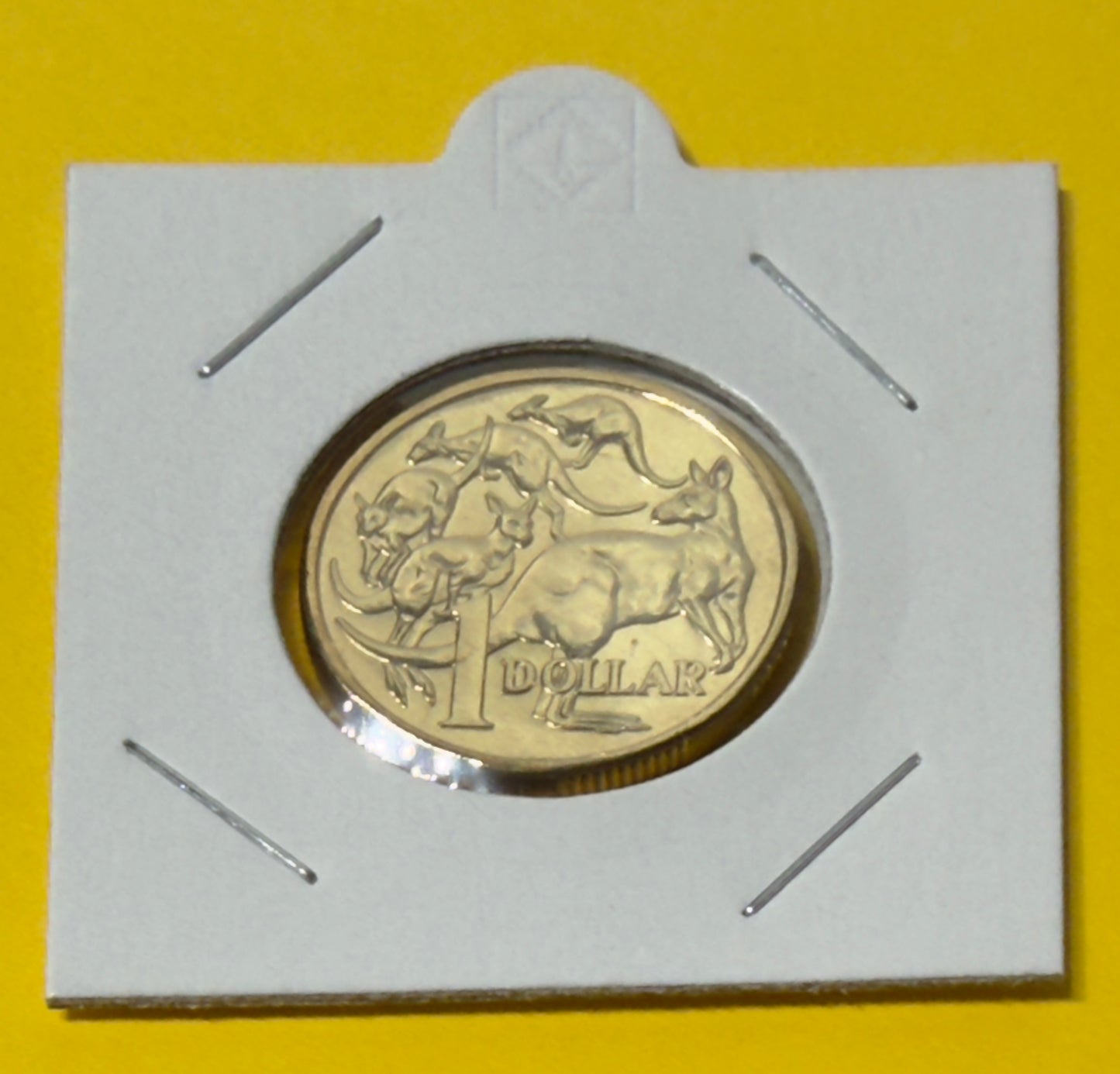 2014 $1 Coin - Uncirculated - Mob of Roos - LOW Mintage - comes in 2x2
