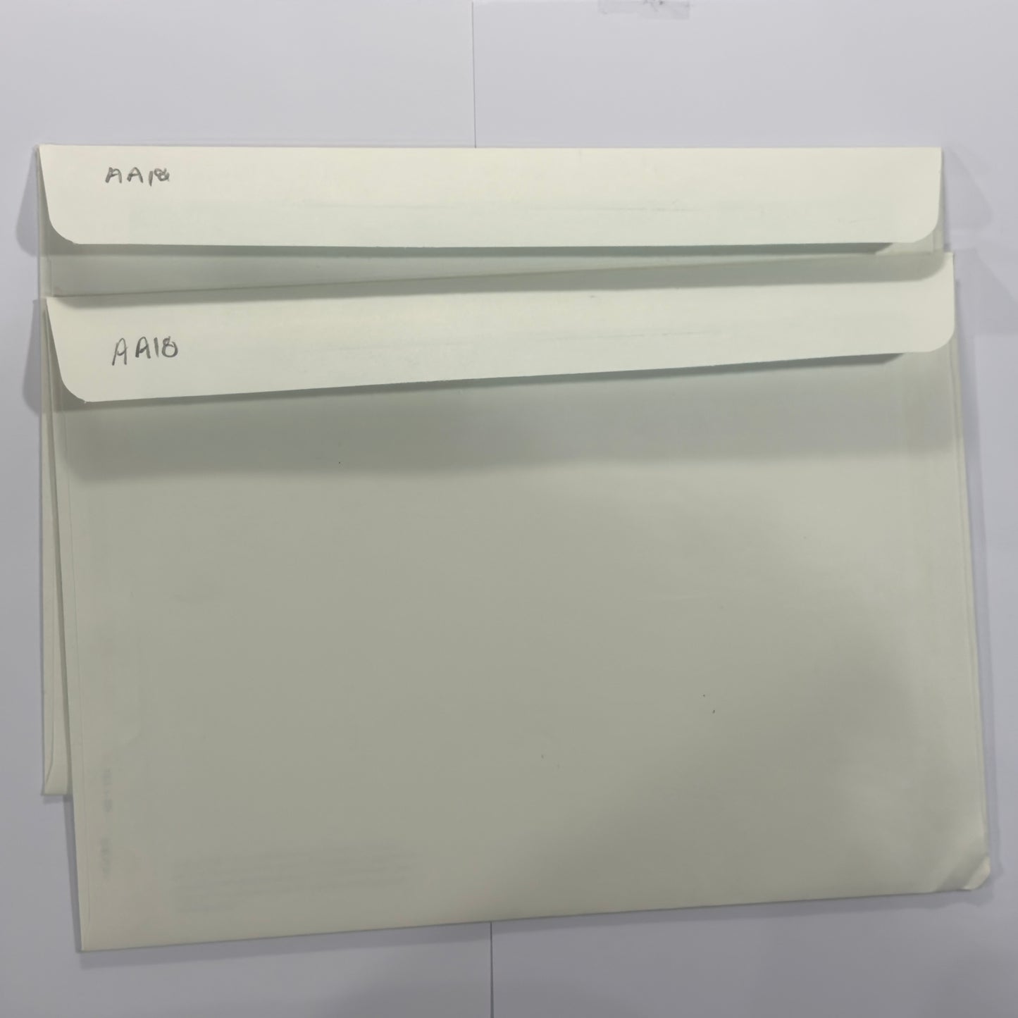 1988 $10 Bicentennial Note folder - Consecutive pair AA 18006599 - AA 18006600 UNC