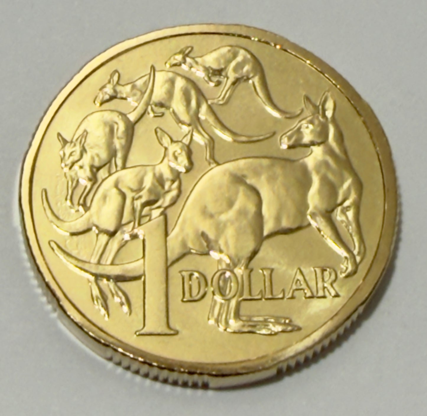 2026 $1 Mob Of 5 Roos - Choice Uncirculated - MINT SET ONLY COIN - Comes in 2x2