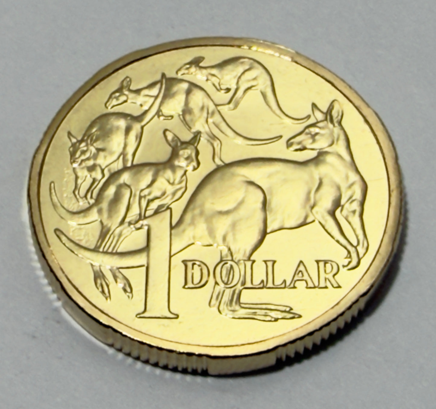 2026 $1 Mob Of 5 Roos - Choice Uncirculated - MINT SET ONLY COIN - Comes in 2x2
