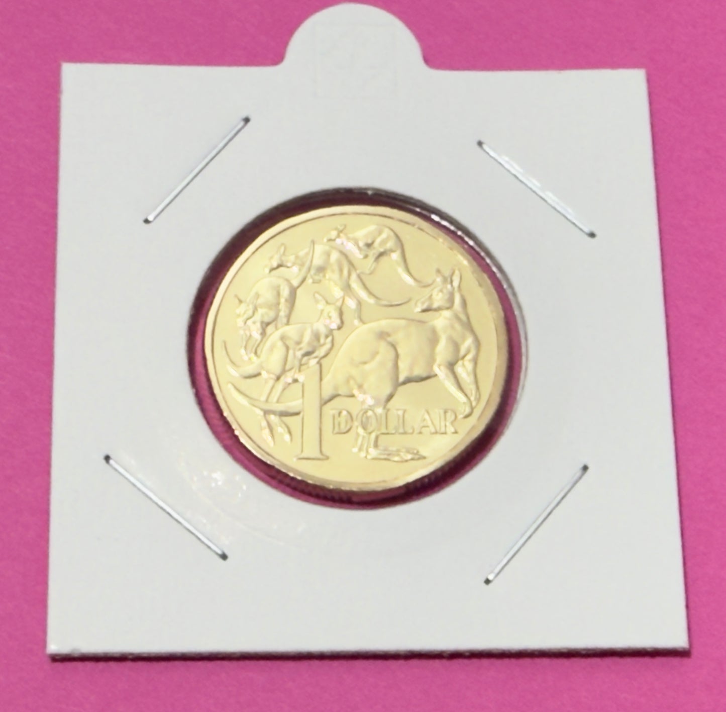 2026 $1 Mob Of 5 Roos - Choice Uncirculated - MINT SET ONLY COIN - Comes in 2x2