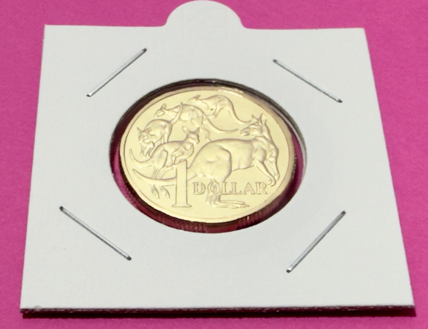 2026 $1 Mob Of 5 Roos - Choice Uncirculated - MINT SET ONLY COIN - Comes in 2x2
