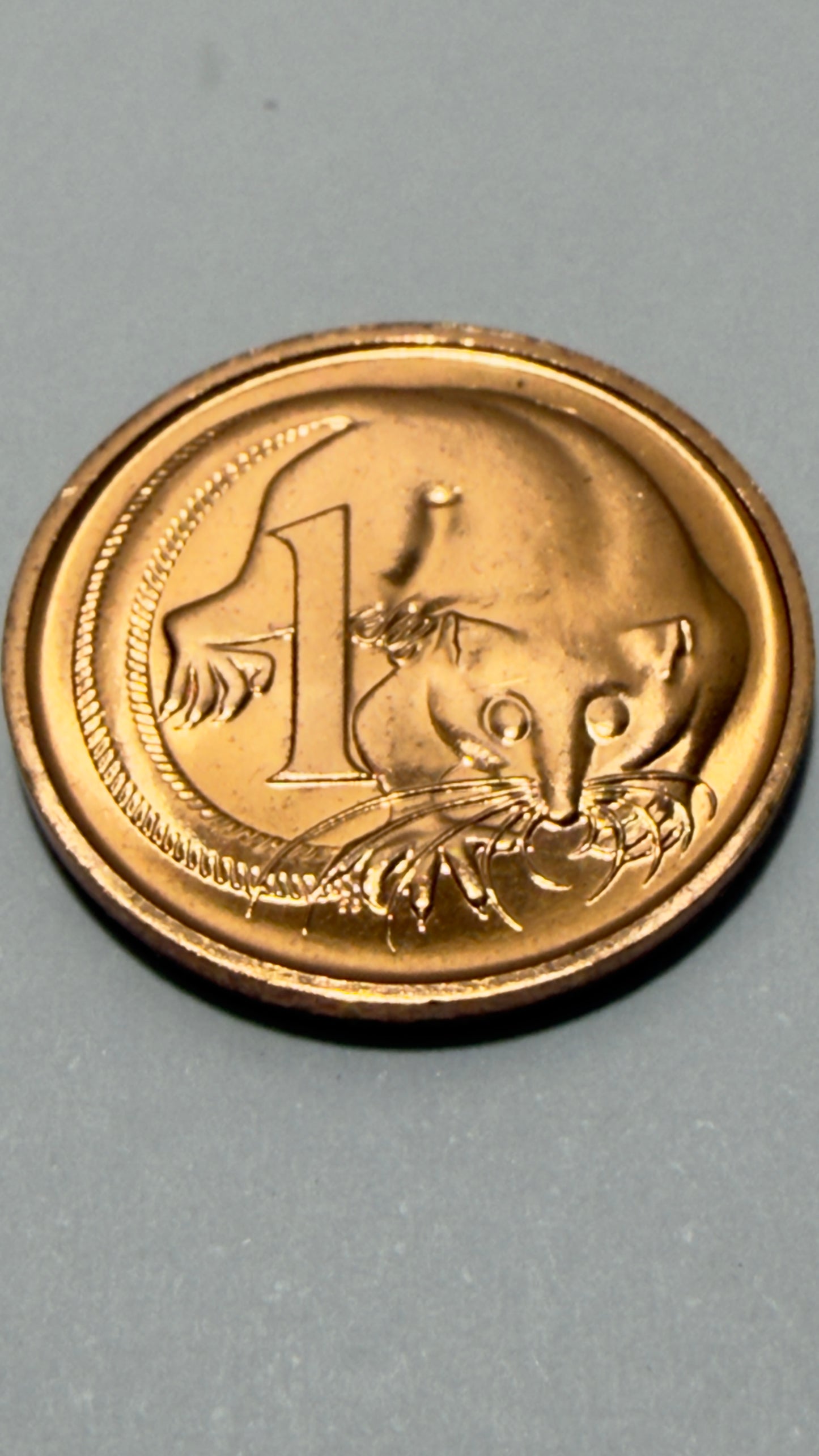 1982 One Cent Coin - Uncirculated - ex Mint roll - 1 Cent - comes in 2x2