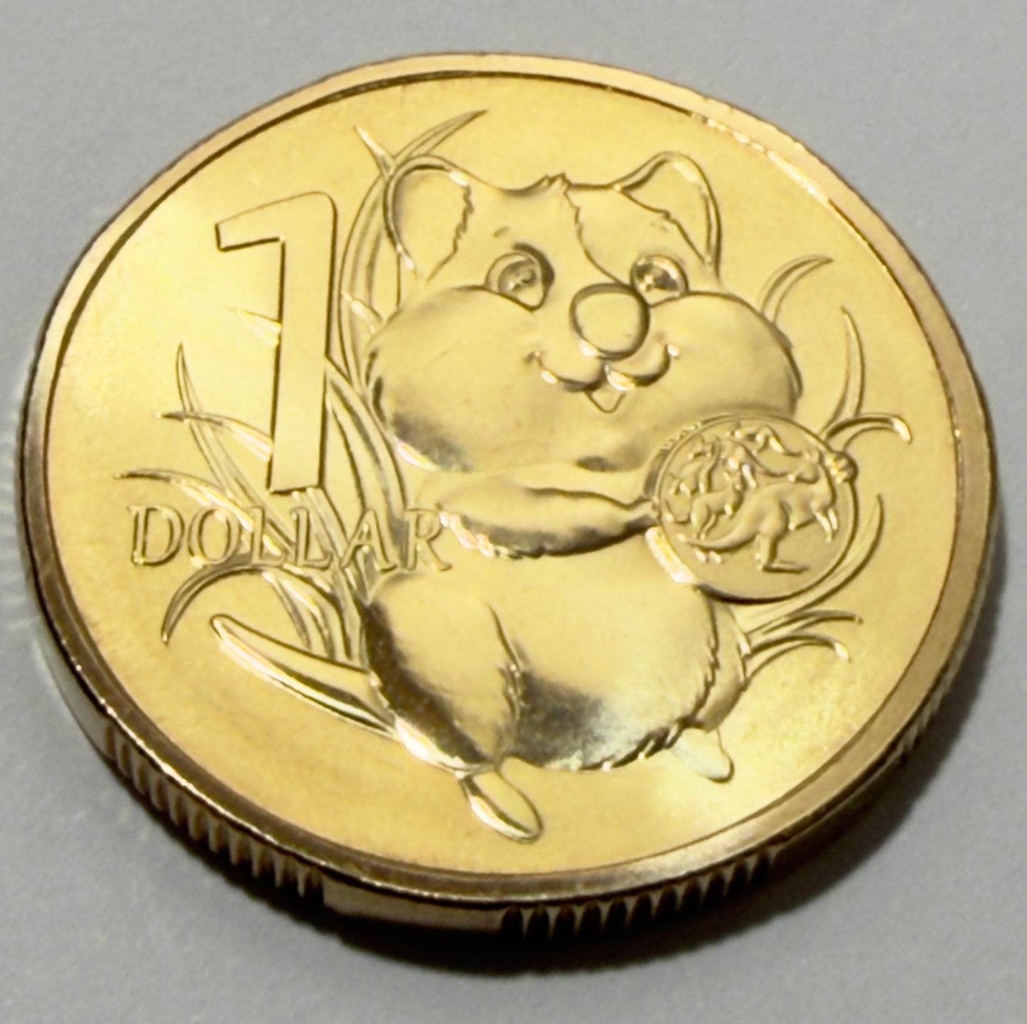 2025 $1 Coin - Aussie Bubs - Uncirculated - ex mint set - comes in 2x2