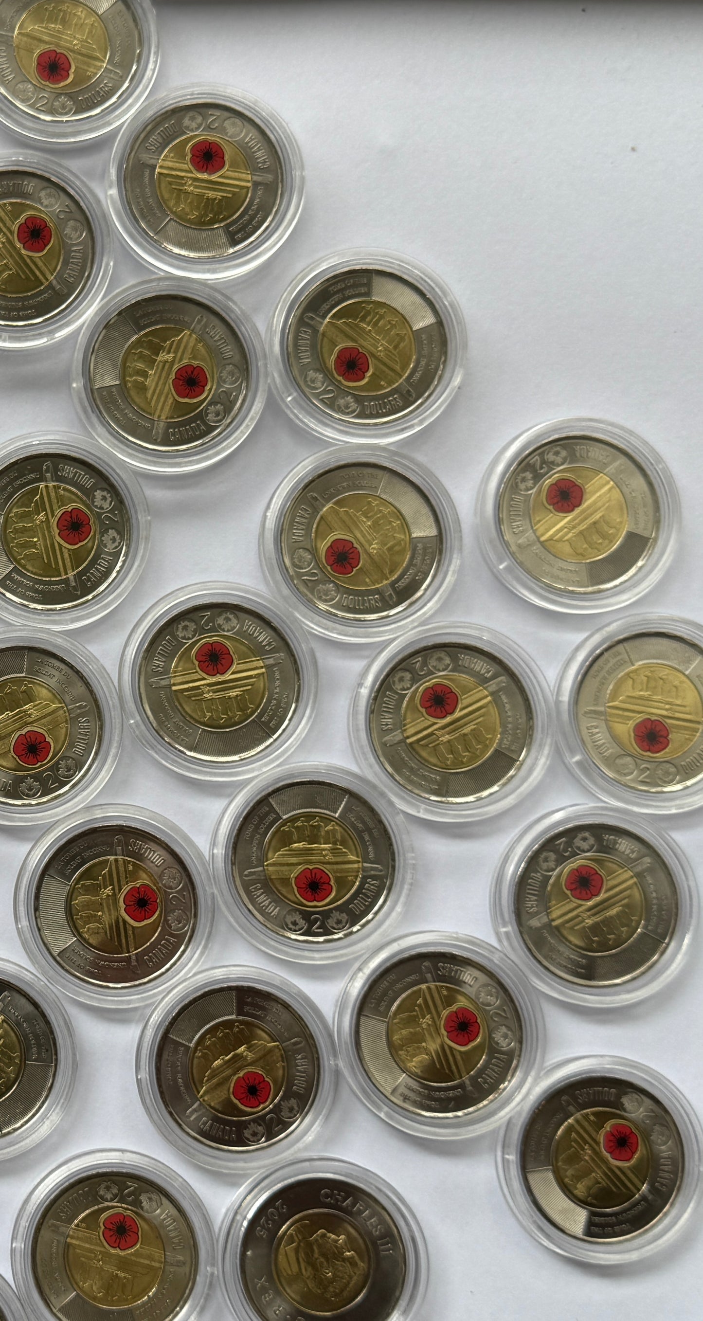 🌺 Canada 2025 $2 Coin - Honouring Canada's Unknown Soldier - Red Poppy🌺