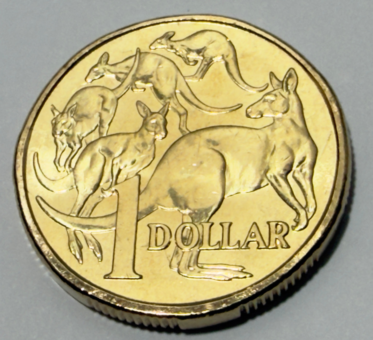 2023 One Dollar $1 coin KING CHARLES - Uncirculated - Mob Roos Australia ex Roll