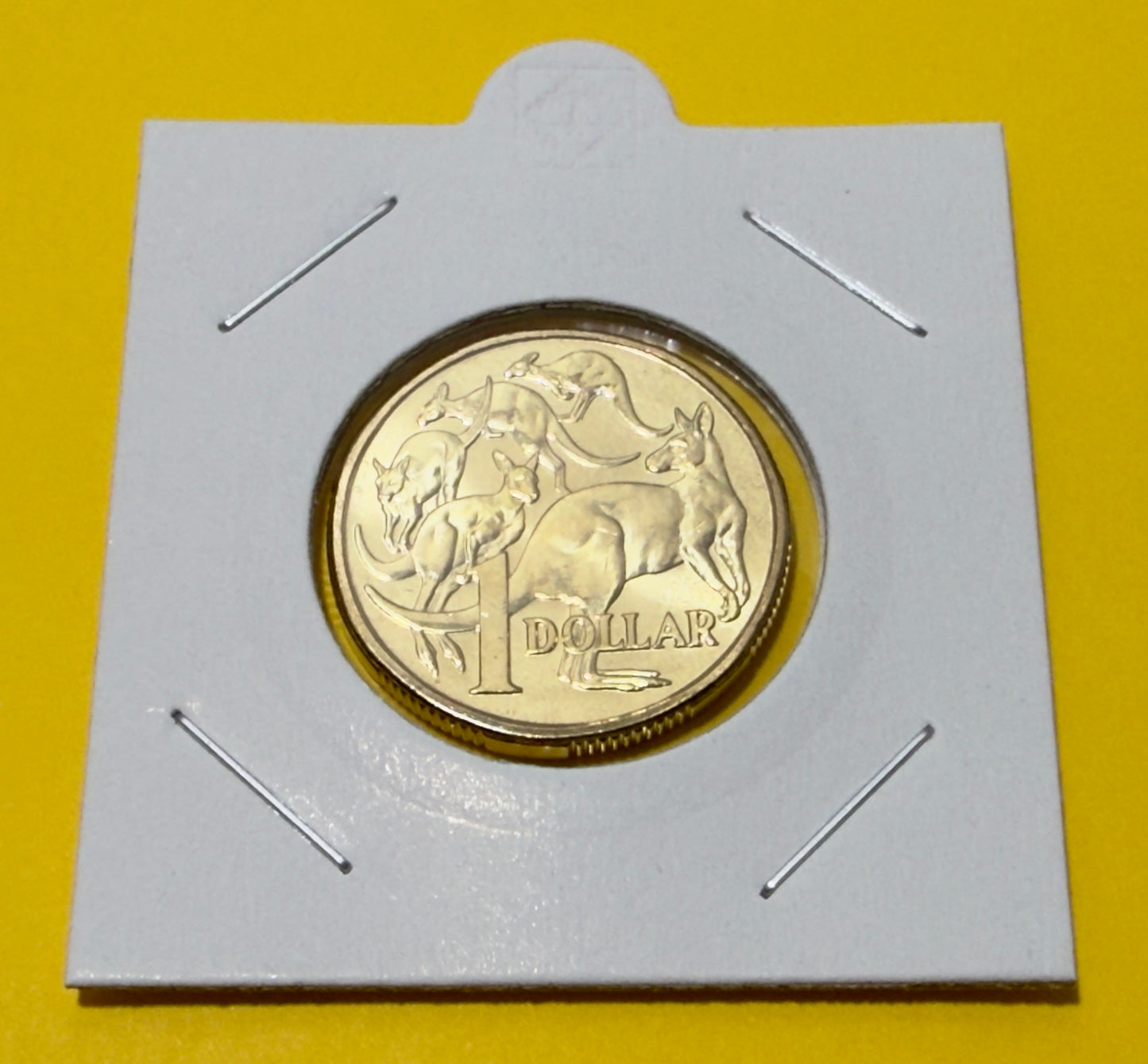 2023 One Dollar $1 coin KING CHARLES - Uncirculated - Mob Roos Australia ex Roll