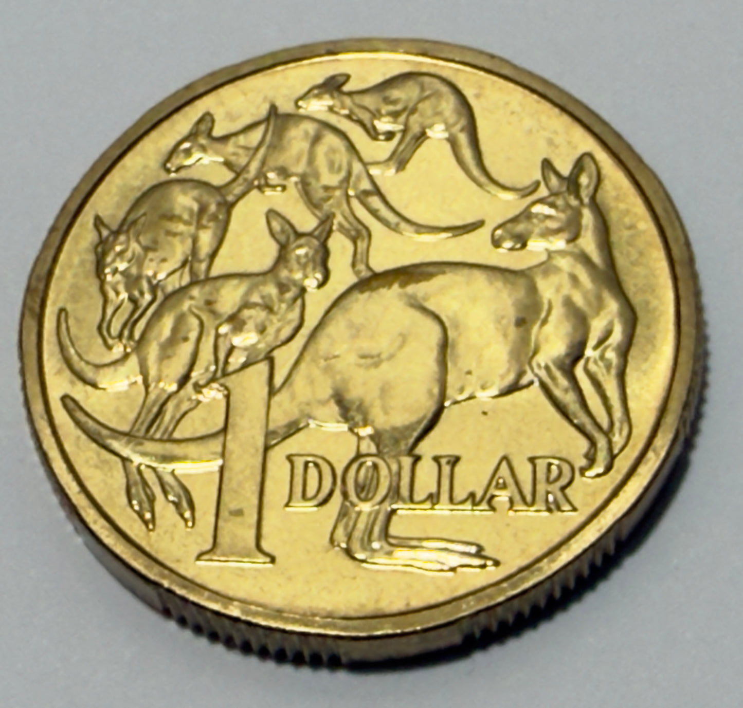 1989 $1 Coin - Mob Of Roos - Uncirculated - mint set ONLY - One Dollar - in 2x2