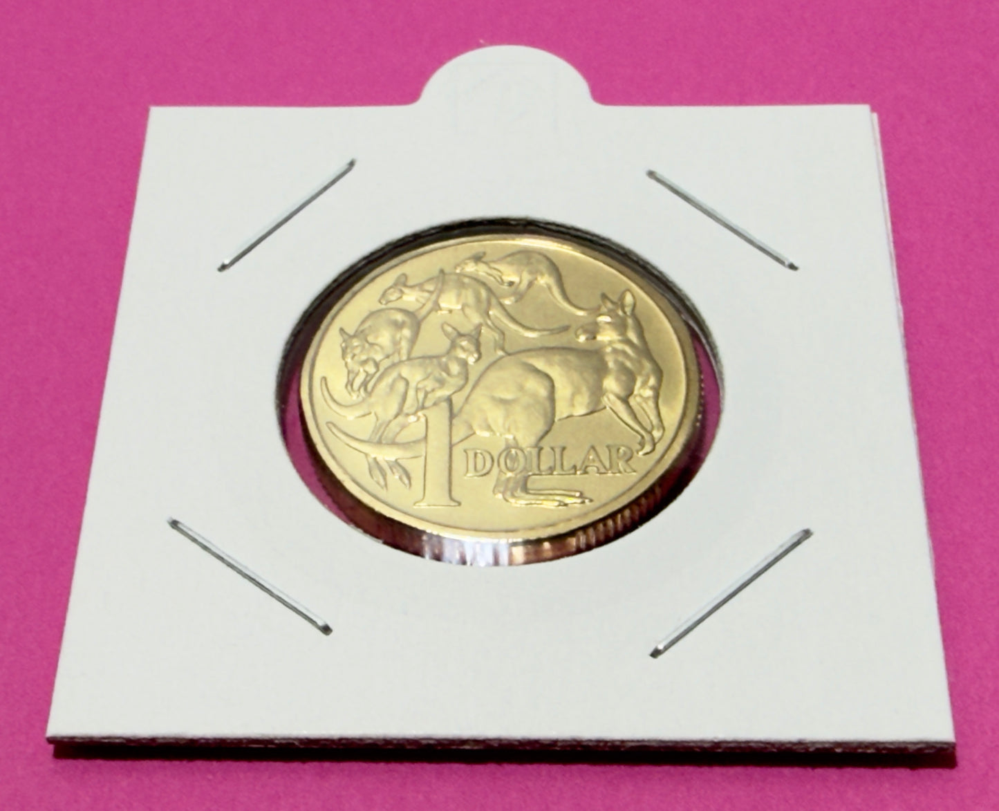 1989 $1 Coin - Mob Of Roos - Uncirculated - mint set ONLY - One Dollar - in 2x2