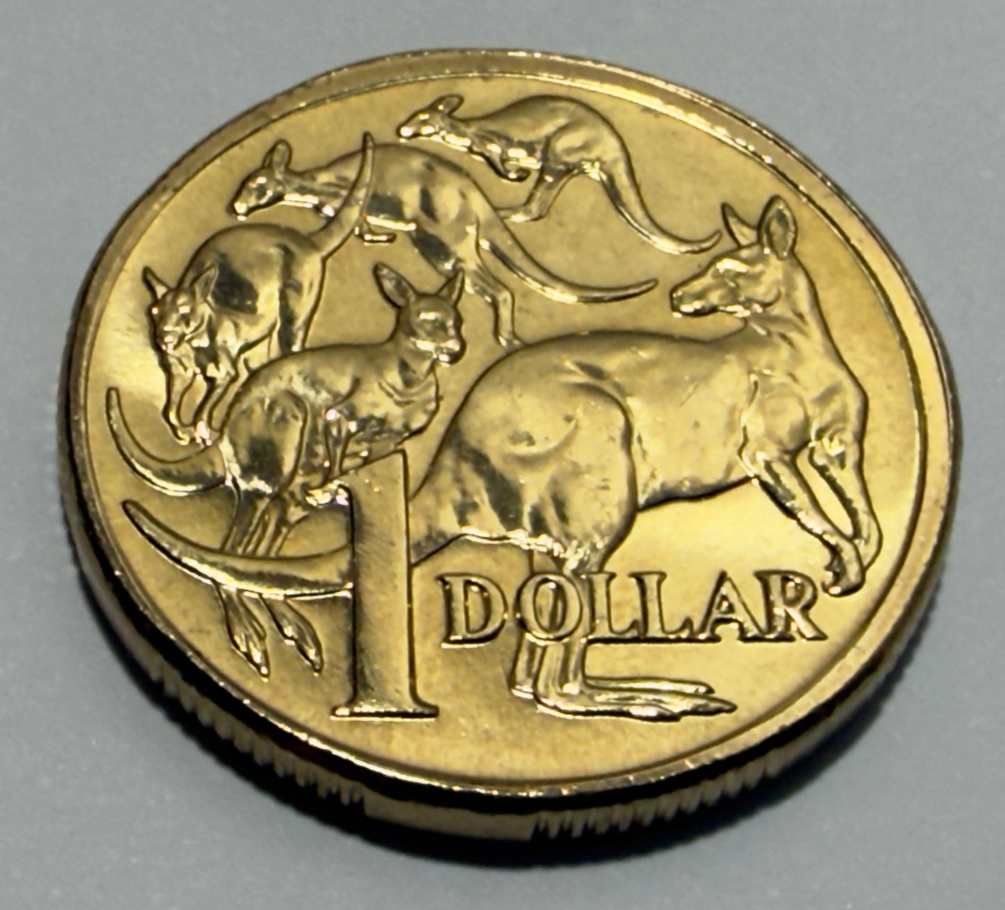 2004 $1 Mob Of Roos Coin - Uncirculated - comes in 2x2