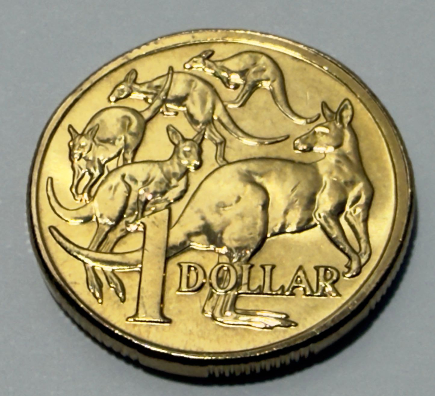 2004 $1 Mob Of Roos Coin - Uncirculated - comes in 2x2