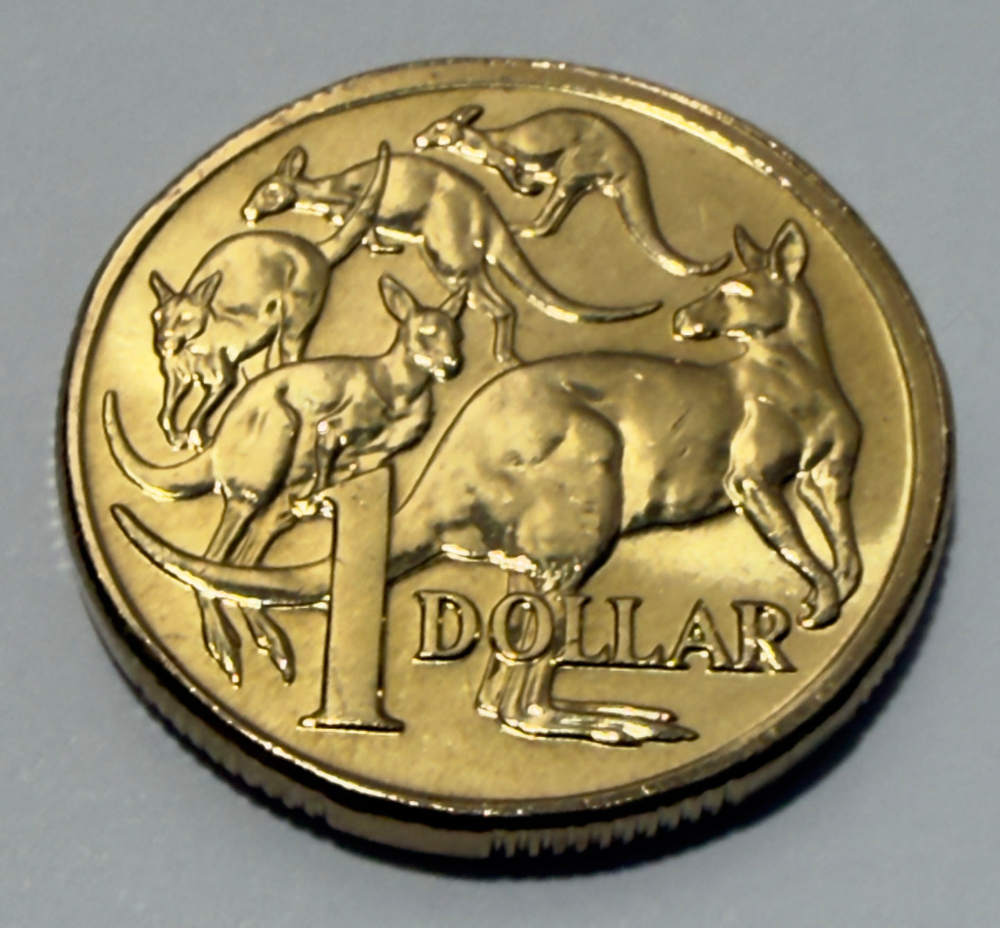 2004 $1 Mob Of Roos Coin - Uncirculated - comes in 2x2