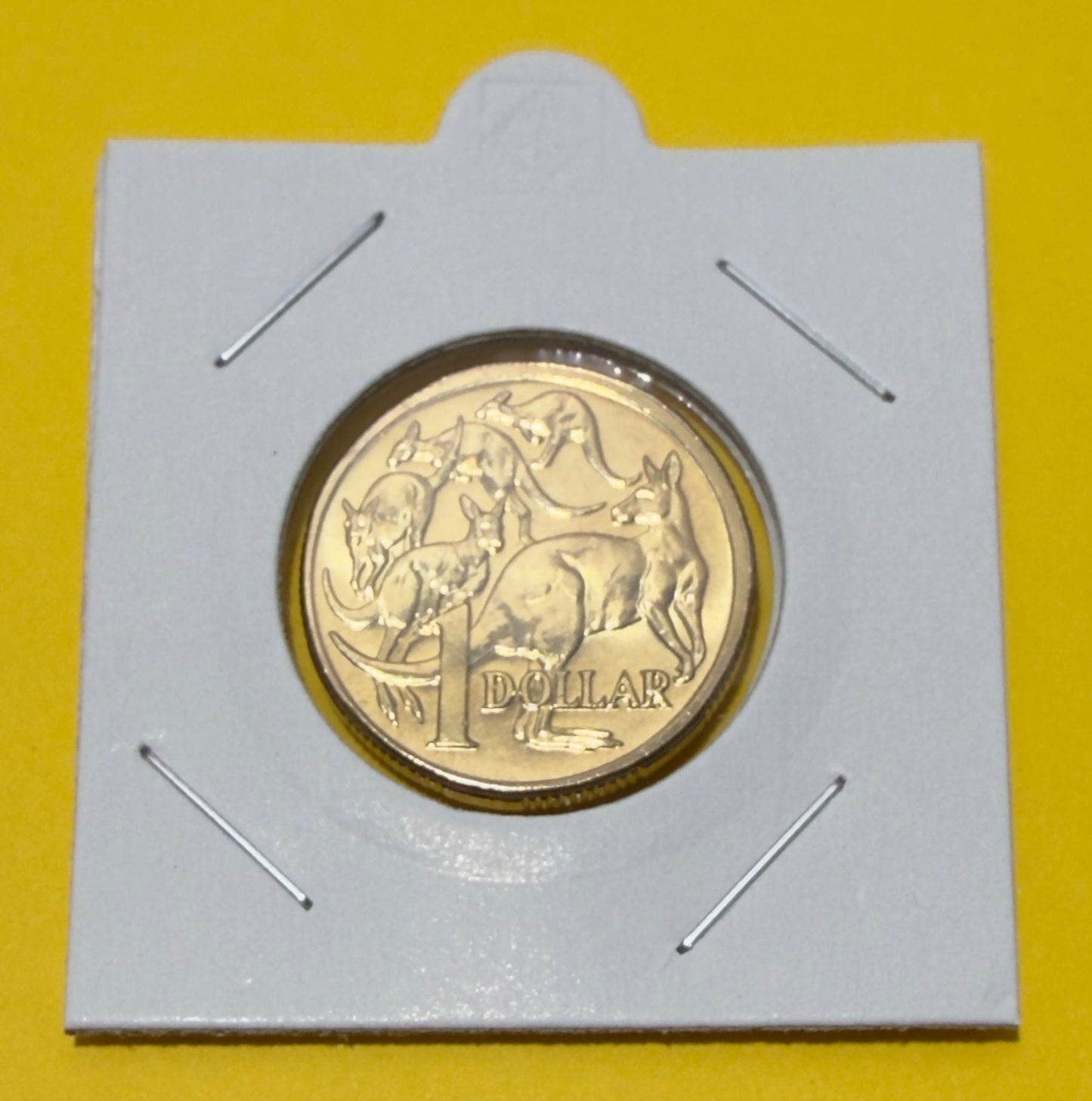 2004 $1 Mob Of Roos Coin - Uncirculated - comes in 2x2