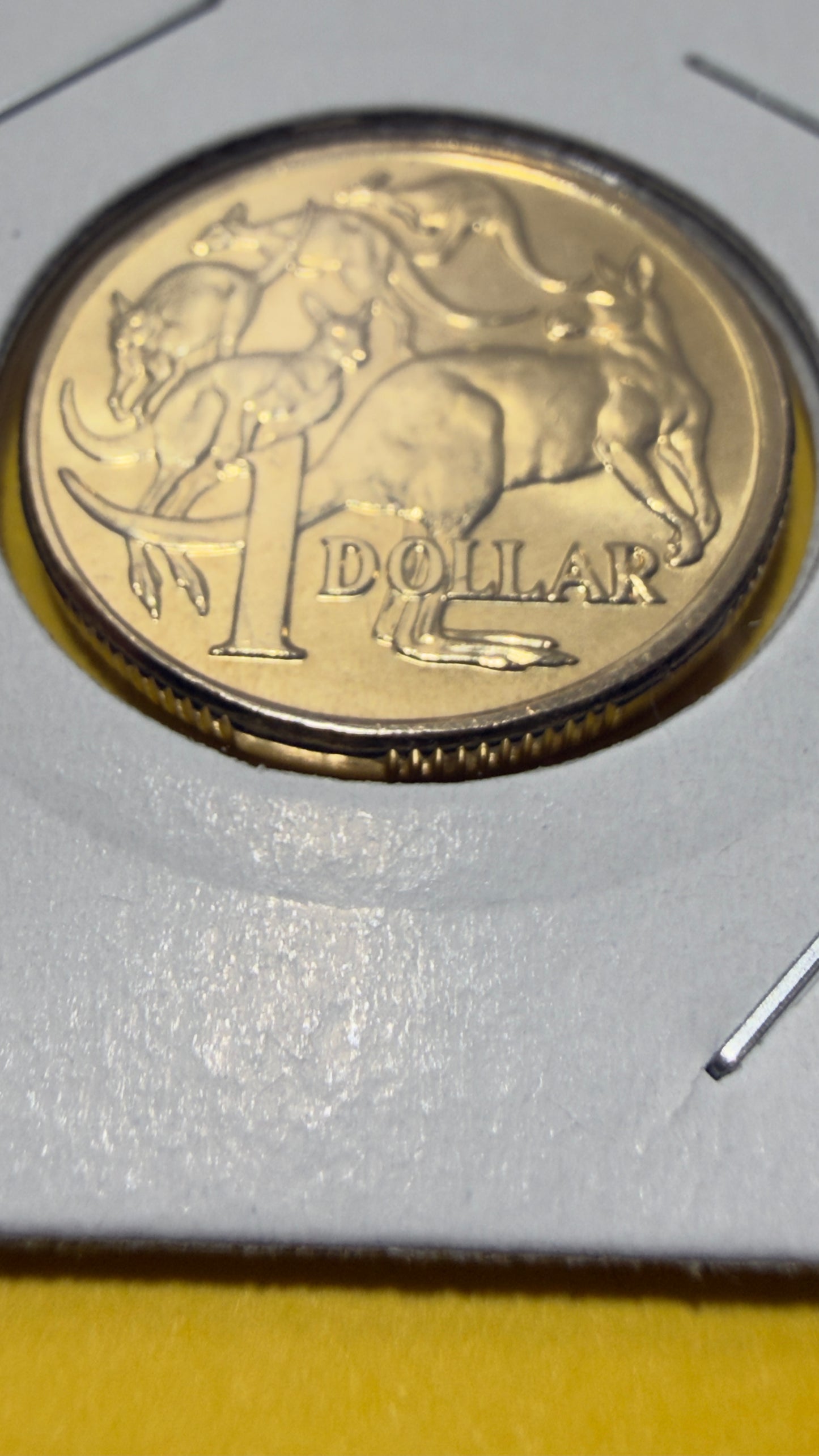 2004 $1 Mob Of Roos Coin - Uncirculated - comes in 2x2