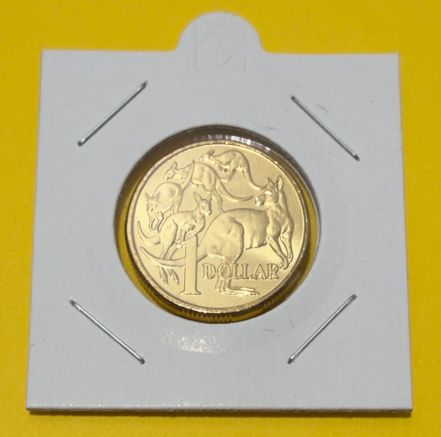 2009 $1 Coin - Uncirculated - Mob of Roos - comes in 2x2