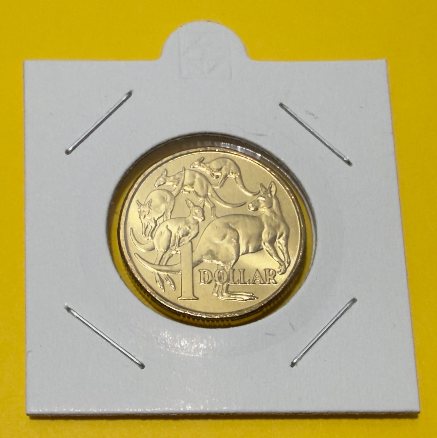 2009 $1 Coin - Uncirculated - Mob of Roos - comes in 2x2