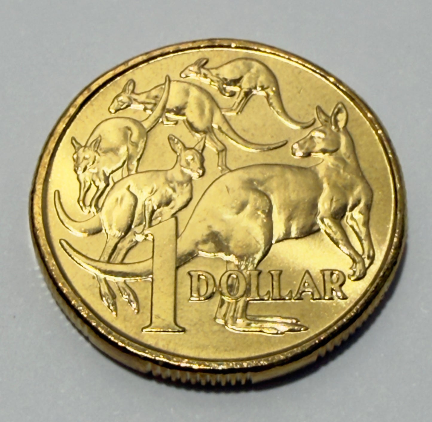 2009 $1 Coin - Uncirculated - Mob of Roos - comes in 2x2