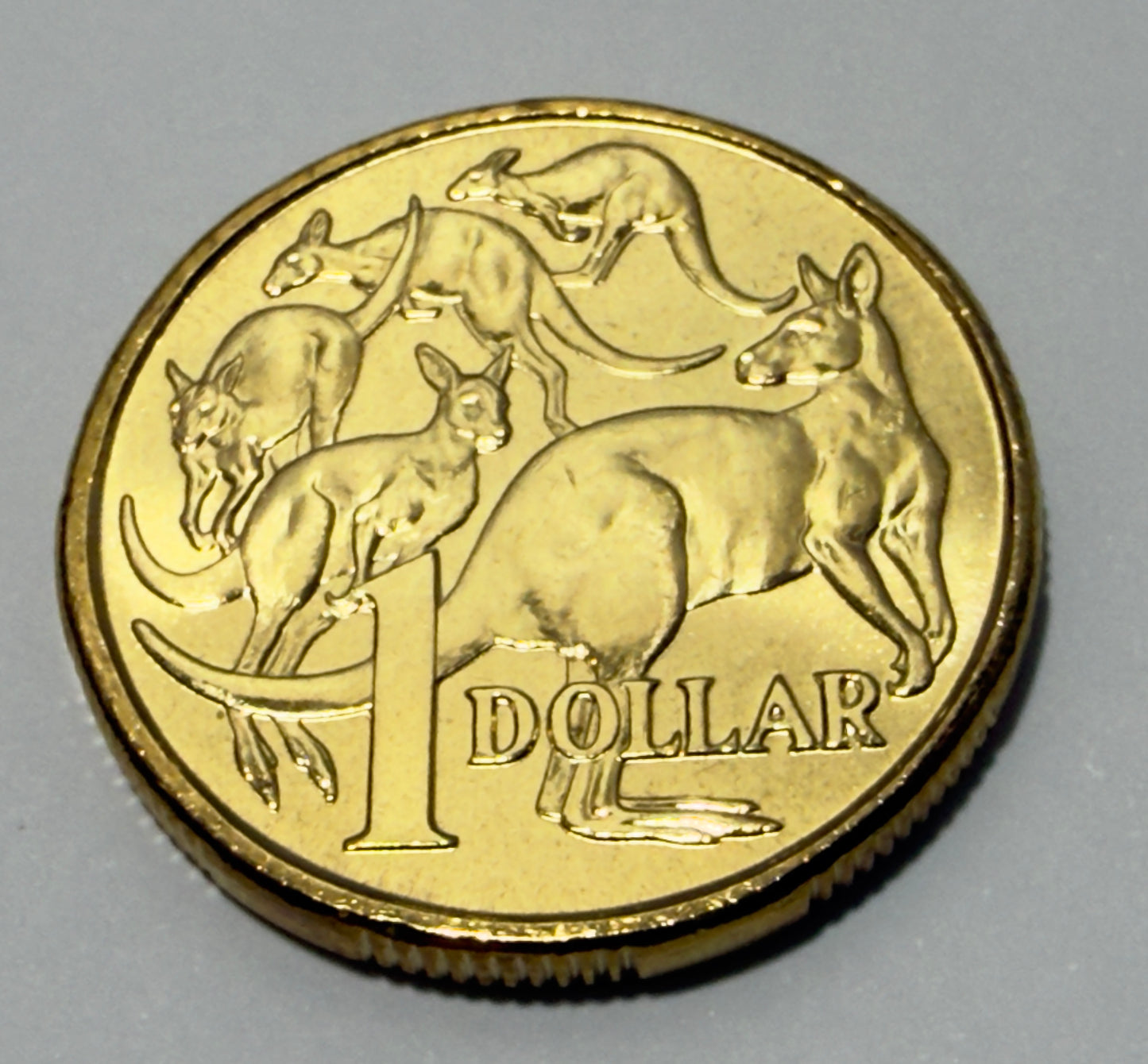 2009 $1 Coin - Uncirculated - Mob of Roos - comes in 2x2