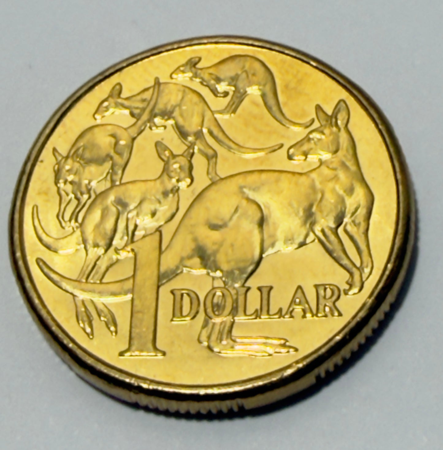 2010 $1 Coin - Uncirculated - Mob of Roos - comes in 2x2