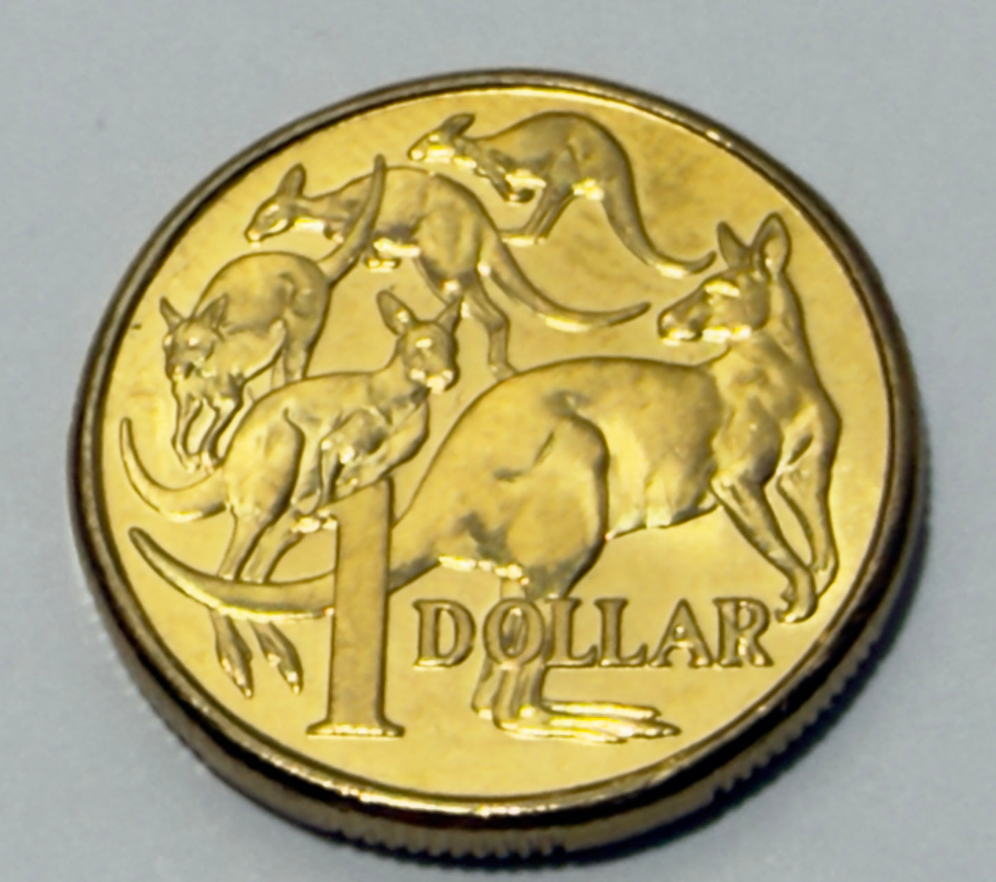 2010 $1 Coin - Uncirculated - Mob of Roos - comes in 2x2