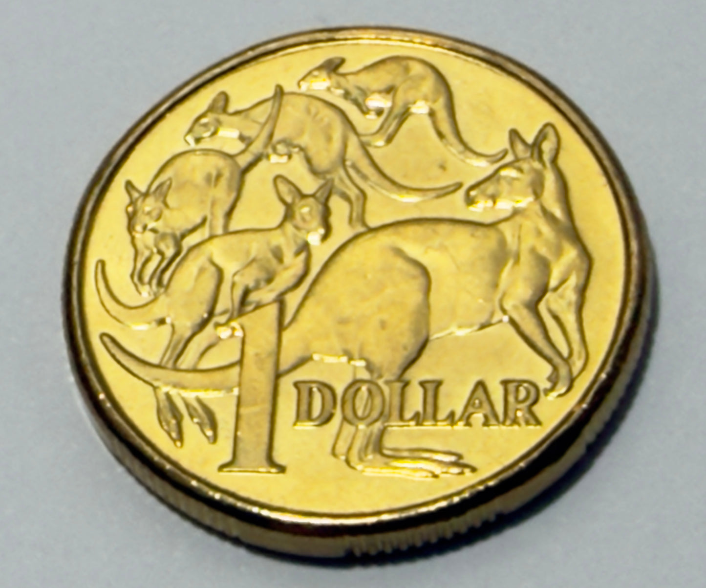 2010 $1 Coin - Uncirculated - Mob of Roos - comes in 2x2