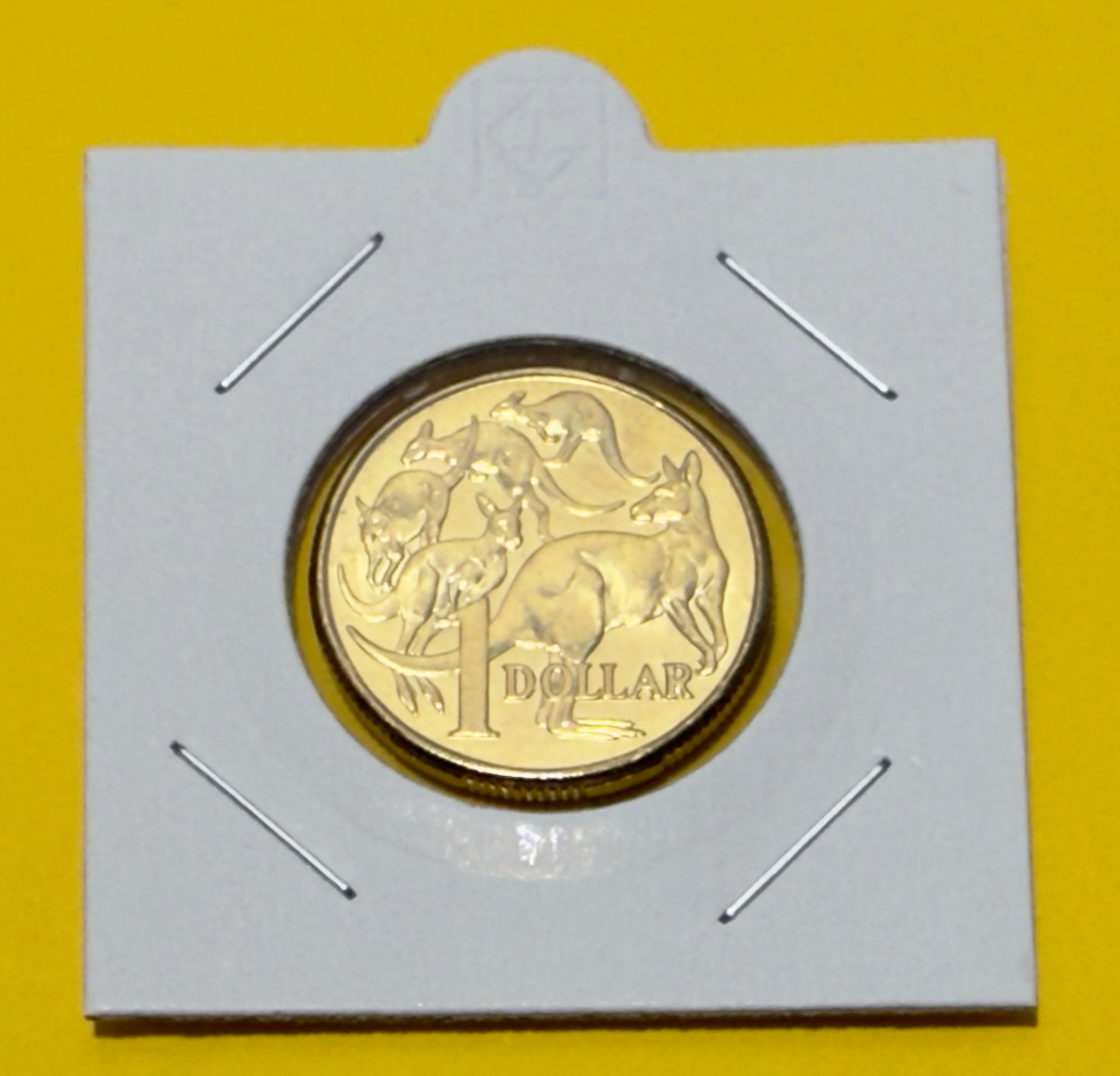 2010 $1 Coin - Uncirculated - Mob of Roos - comes in 2x2