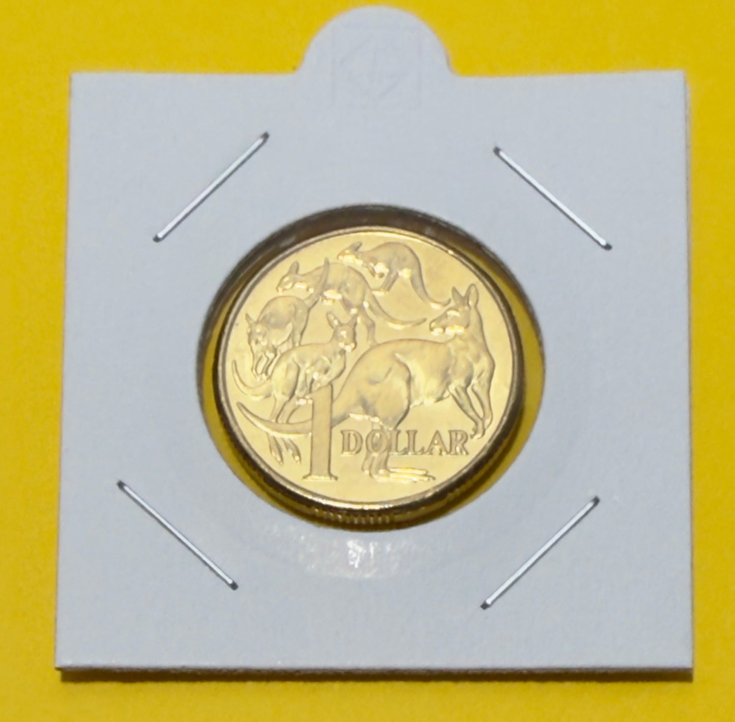 2010 $1 Coin - Uncirculated - Mob of Roos - comes in 2x2