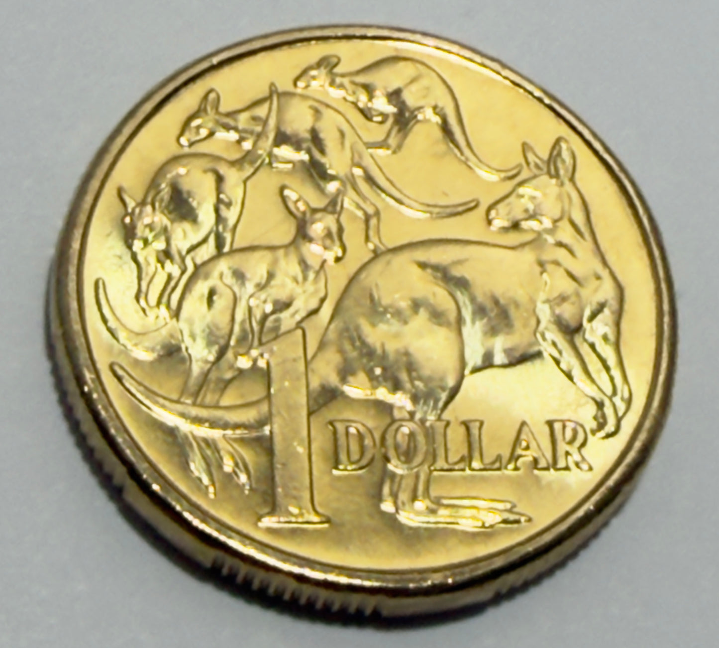 2018 $1 Mob of Roos Coin - One Dollar - Uncirculated - comes in 2x2