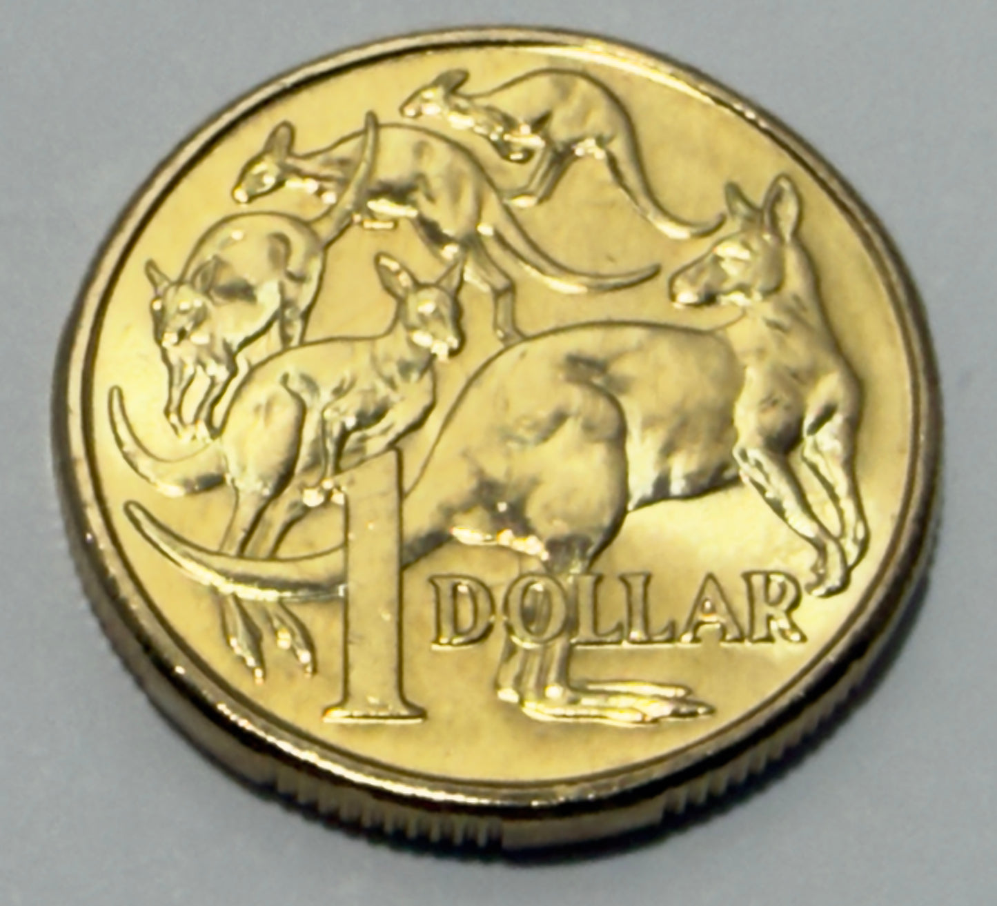 2018 $1 Mob of Roos Coin - One Dollar - Uncirculated - comes in 2x2
