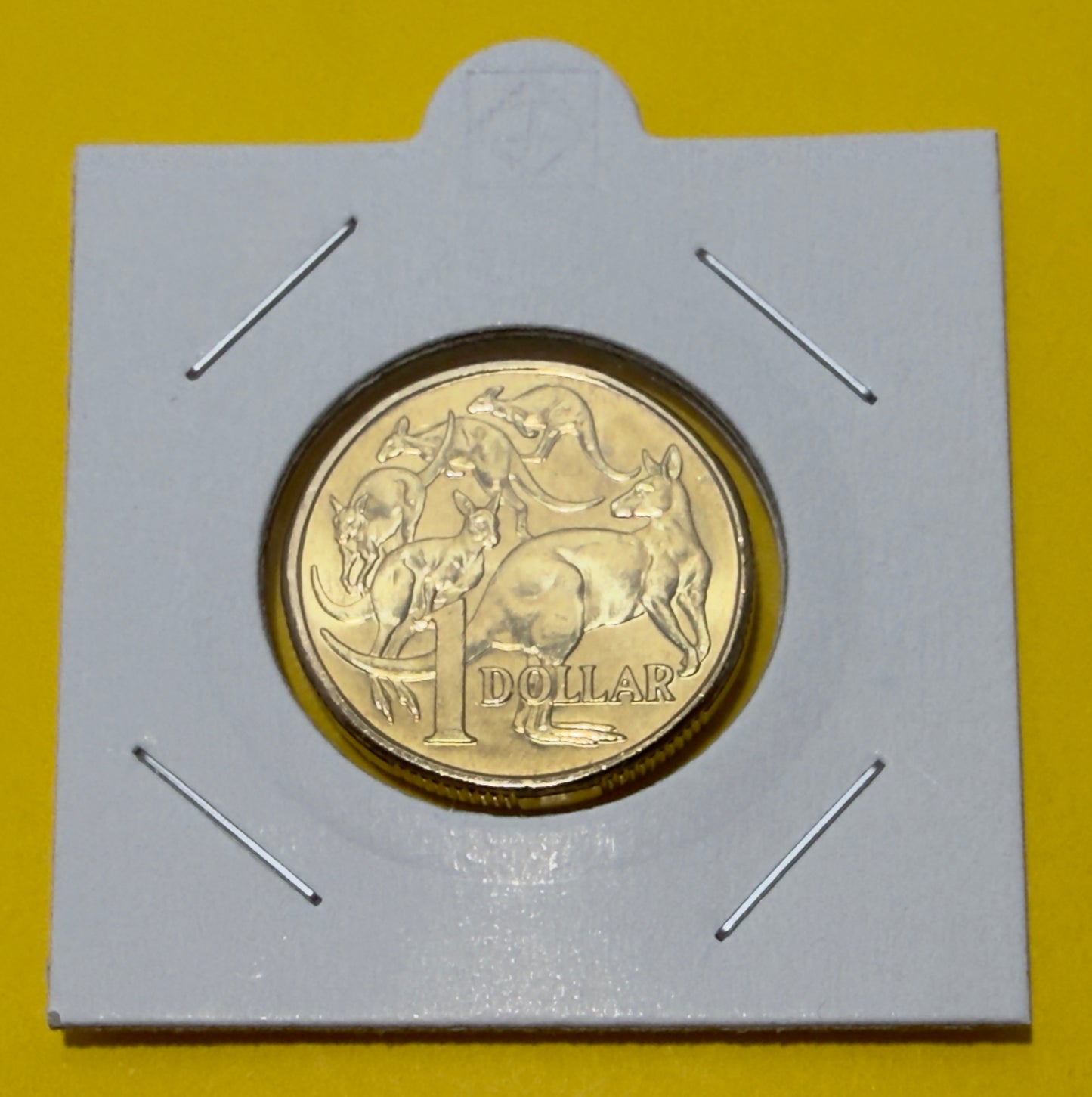 2018 $1 Mob of Roos Coin - One Dollar - Uncirculated - comes in 2x2