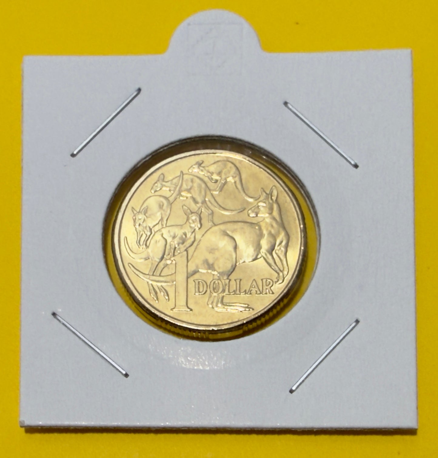 2018 $1 Mob of Roos Coin - One Dollar - Uncirculated - comes in 2x2