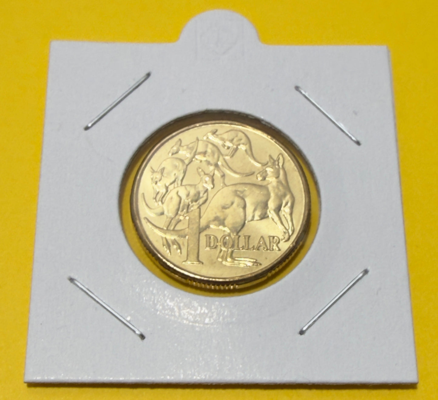2008 $1 Coin - Mob of Roos - Uncirculated - comes in 2x2