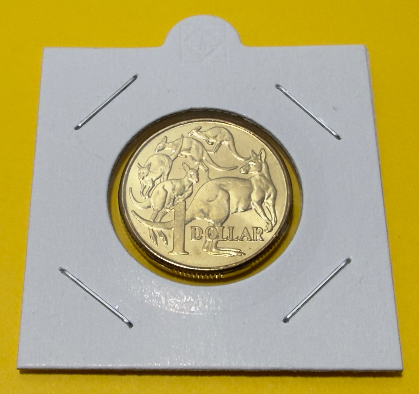 2008 $1 Coin - Mob of Roos - Uncirculated - comes in 2x2