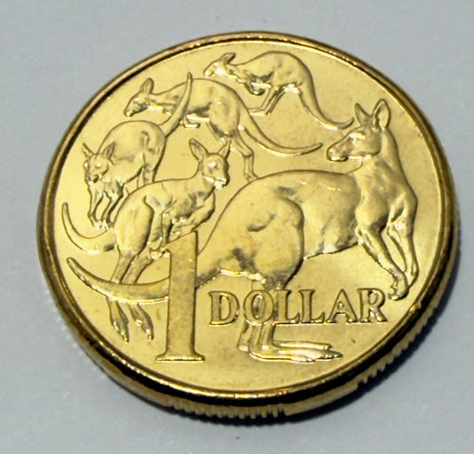 2008 $1 Coin - Mob of Roos - Uncirculated - comes in 2x2