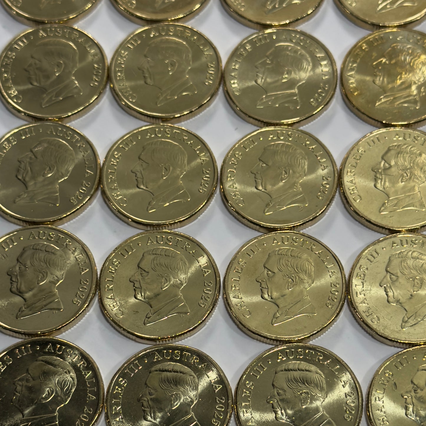 2025 $1 Mob of Roos Coin - Uncirculated - One Dollar - comes in 2x2