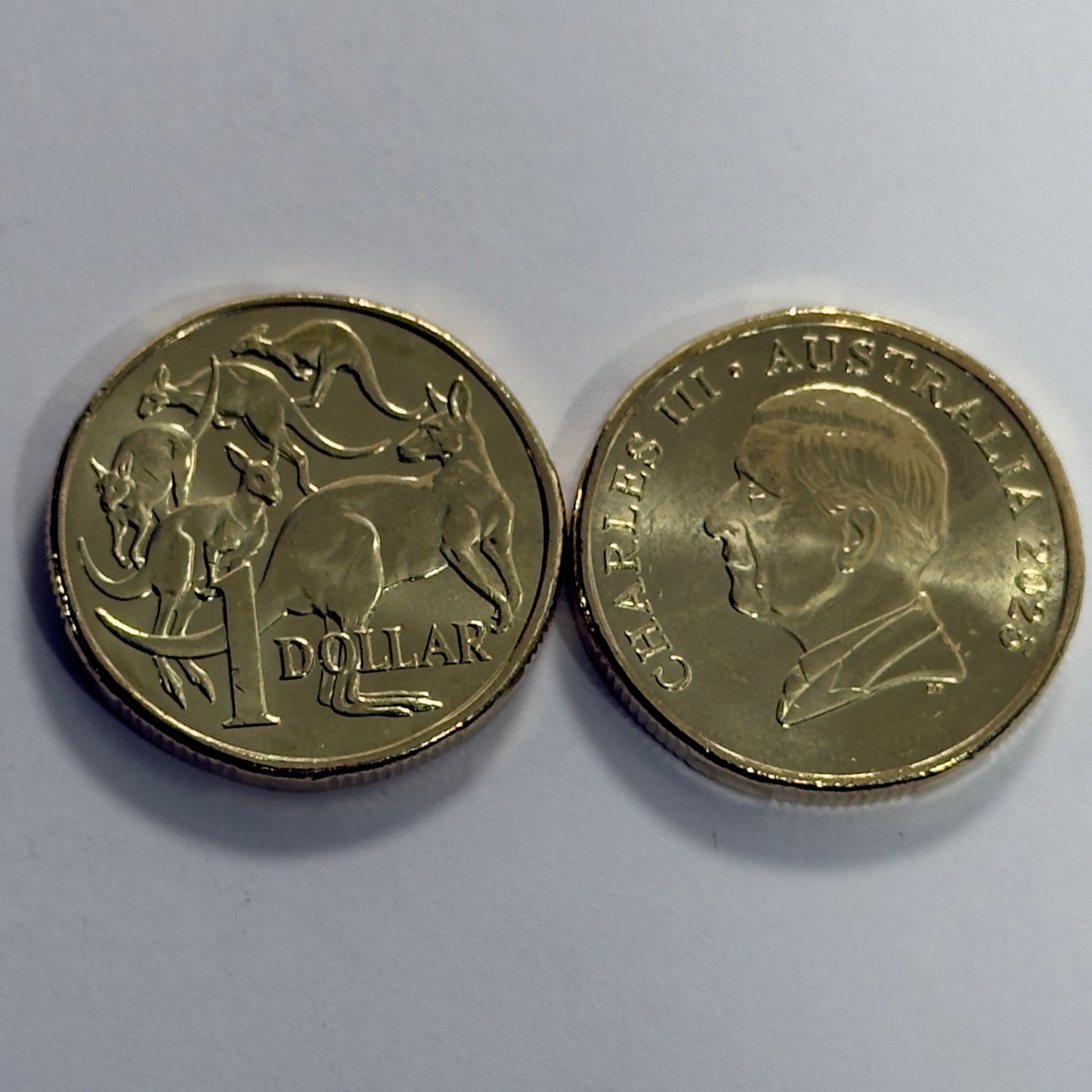 2025 $1 Mob of Roos Coin - Uncirculated - One Dollar - comes in 2x2