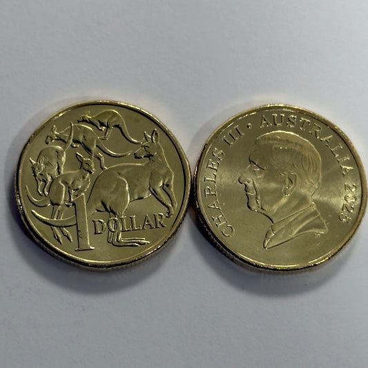 2025 $1 Mob of Roos Coin - Uncirculated - One Dollar - comes in 2x2