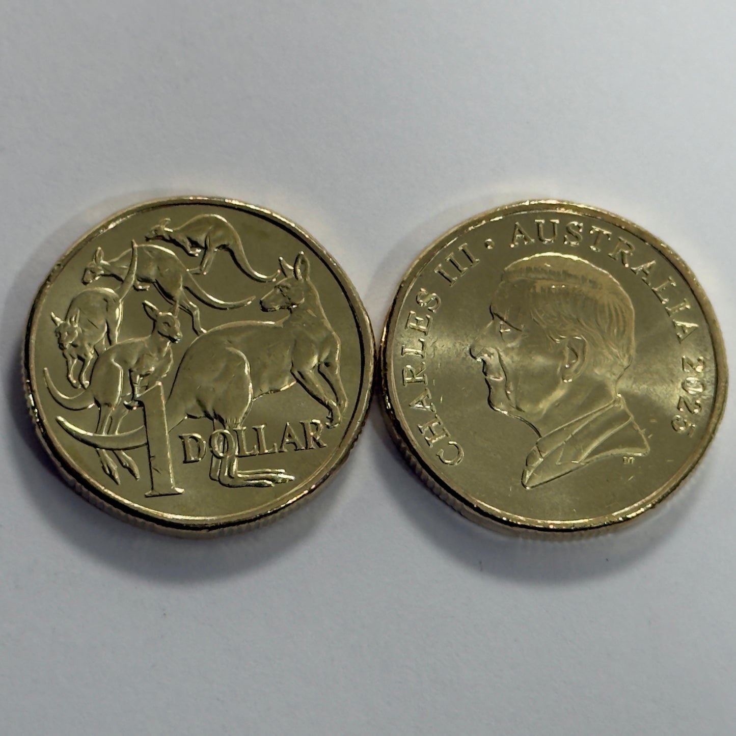 2025 $1 Mob of Roos Coin - Uncirculated - One Dollar - comes in 2x2