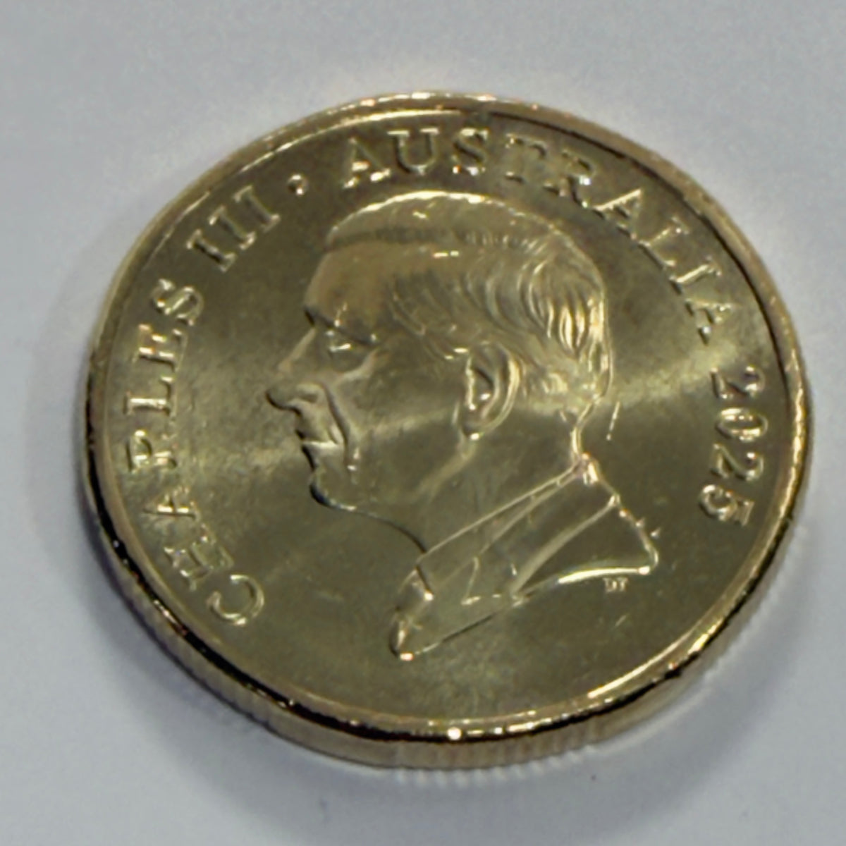 2025 $1 Mob of Roos Coin - Uncirculated - One Dollar - comes in 2x2