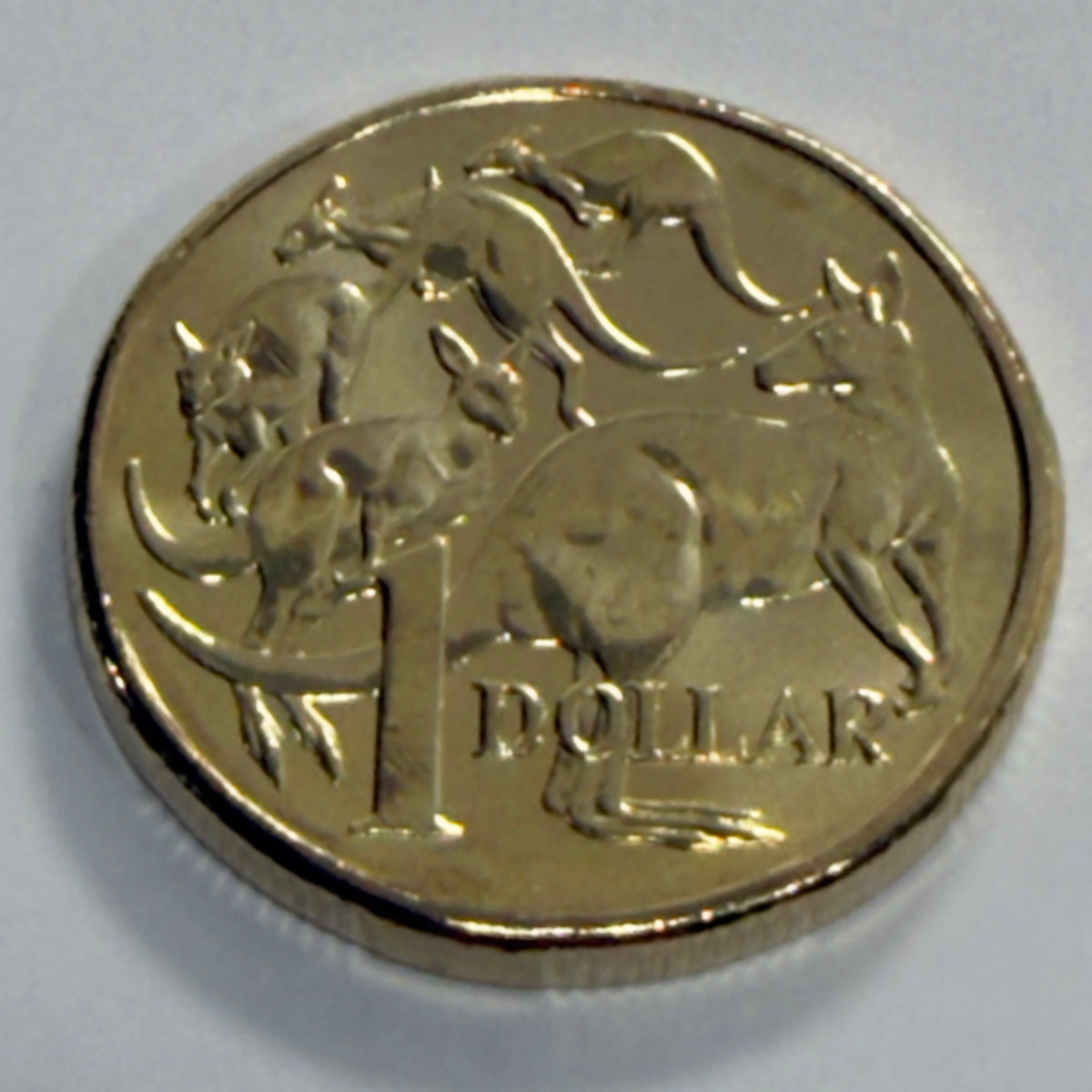 2025 $1 Mob of Roos Coin - Uncirculated - One Dollar - comes in 2x2